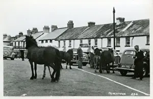 The Village