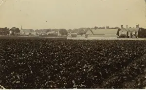 The Village