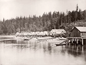 North West Collection: Village Alert Bay Cormorant Island, British Columbia, Canada