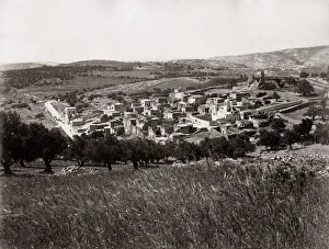 The village of Bethany, Palestine, Holy Land, Israel, c. 1890 s