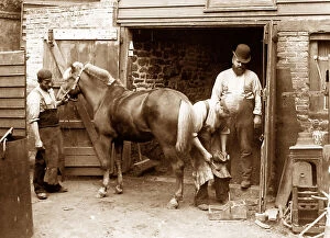 Blacksmith Collection: Village blacksmith shoeing horse