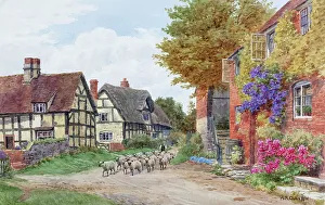 Villages Prints: Village of Cropthorne, Worcestershire