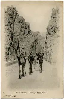Passage Prints: Village of El-Kantara, Algeria - Road through the Gorge