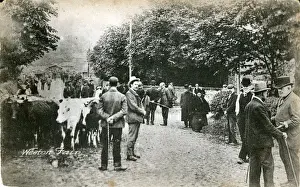 Blackpool Prints: The Village Fair, Weeton, Lancashire