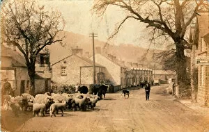 Bell Collection: The Village, Glangrwyney, Crickhowell, Wales