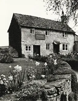 Daffodils Prints: The village grocery store, in an old cottage at Daglingworth