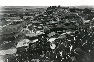 Village on a hill near Gaza, with cacti, WW1