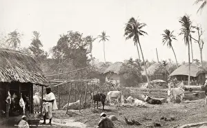 Archiecture Prints: Village life in Bengal, near Calcutta, Kolkata, India