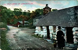 Jones Prints: The Village, Llanuwchllyn, Merionethshire