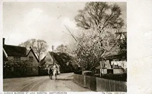 Marston Prints: The Village, Long Marston, Hertfordshire