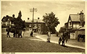 Lyndhurst Prints: The Village, Lyndhurst, Hampshire
