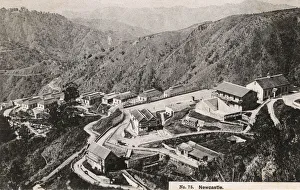 Terrain Collection: Village of Newcastle in the Mountains of Jamaica, Caribbean