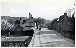 Village & Quarry Woods, Bisham, Berkshire