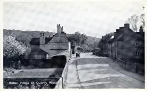 Maidenhead Prints: Village & Quarry Woods, Bisham, Berkshire