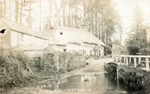 Maiden Prints: The Village, Rampisham, Dorchester, Maiden Newton, Dorset, England. Date: 1900s