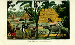 Bamboo Gallery: Village scene near Kupang, Timor, 19th century