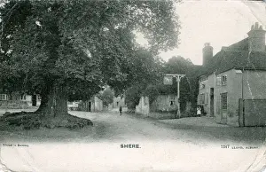 The Village, Shere, Surrey