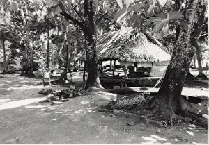 Polynesia Prints: Village in Tuvalu, Gilbert Islands, Pacific