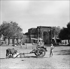 Village walls - Madhya Pradesh - India