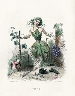 Personified Gallery: Vine Personified