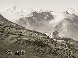 Vintage 19th century photograph: The Torrenthorn is a mountain of the Bernese Alps