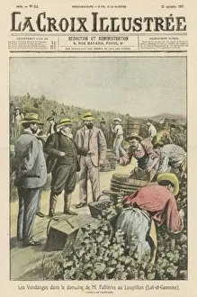 Vineyards Prints: Vintage Scene, France