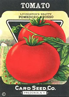 Gardening Prints: Vintage tomato seed packet