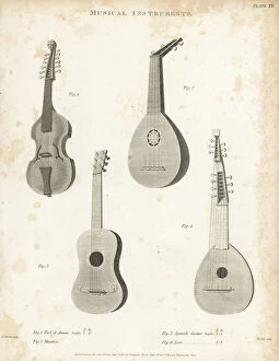 Lute Gallery: Viol d amour, mandore, Spanish guitar and lute