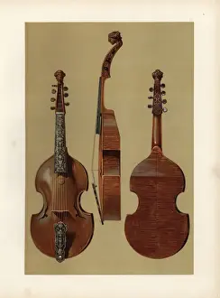 Viola d amore or the Love Viol