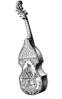 Viola Da Gamba C16 Viola Da Gamba C16