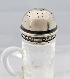 Images Dated 4th October 2012: Violet Day Fund silver-topped Pounce pot - WWI era
