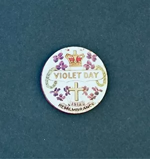Images Dated 28th September 2011: Violet Day Fund silver-topped Pounce pot - WWI era
