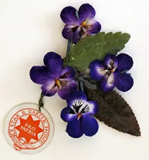 Violet Day Fund silver-topped Pounce pot - WWI era