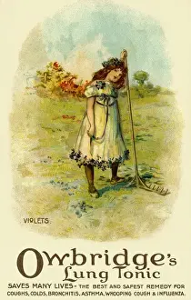 Violets Prints: Violets