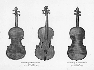 Images Dated 23rd December 2016: Violins by Stradivarius