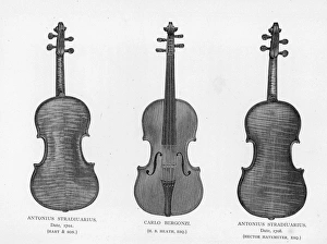 Images Dated 23rd December 2016: Three violins by Stradivarius and Bergonzi