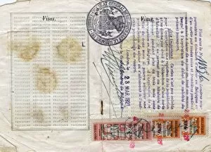 Stamped Collection: Visa pages with stamps in a French passport
