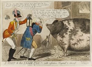 Clergymen Collection: A Visit to the Irish Pig! With reflections Physical & Moral