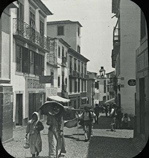 Madeira Gallery: Visit to Madeira - A Business Street in Funchal