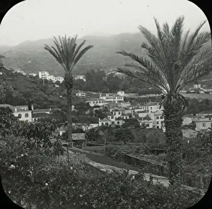 Bella Prints: Visit to Madeira - Funchal from Bella Vista Gardens
