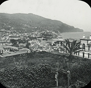 View of the Portuguese island of Madeira