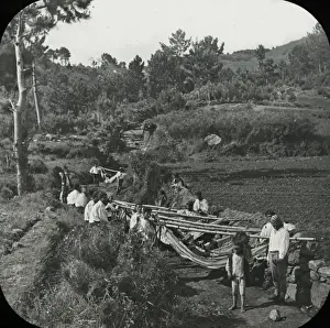 Hammocks Prints: Visit to Madeira - Hammock men resting