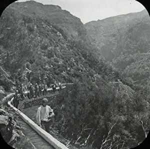 Visit to Madeira - Path along the lower levada