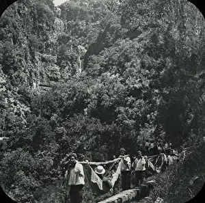 Hammocks Prints: Visit to Madeira - Rabacal - Hammock Ride Resumed