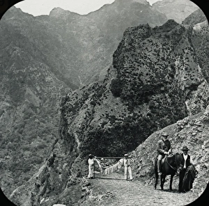 Terrain Collection: Visit to Madeira - Road near the Grand Curral