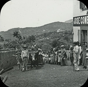 View of the Portuguese island of Madeira