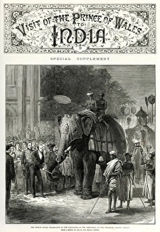 Images Dated 19th January 2017: Visit of the Prince of Wales to India - elephants