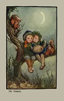 Squirrels Prints: The visitors