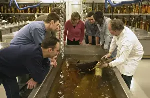 Visitors in the Tank Room in the Darwin Centre