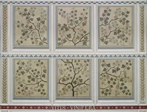 Grapevine Prints: Vitis vinifera, grape